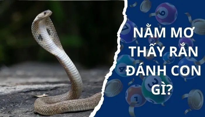 Mơ thấy rắn đánh đề con gì?