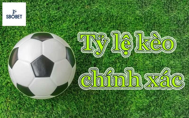 Kèo Tỷ Số Chính Xác: Chiến lược chơi kèo tỷ số chính xác