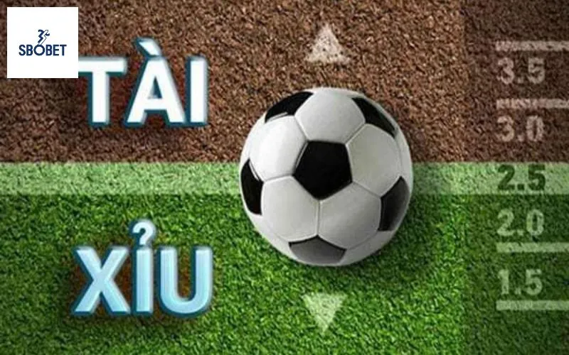Soi kèo Tài-Xỉu