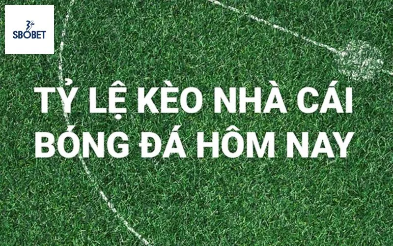 Tỉ lệ chấp kèo