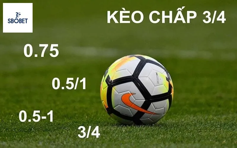 Tỷ lệ kèo chấp